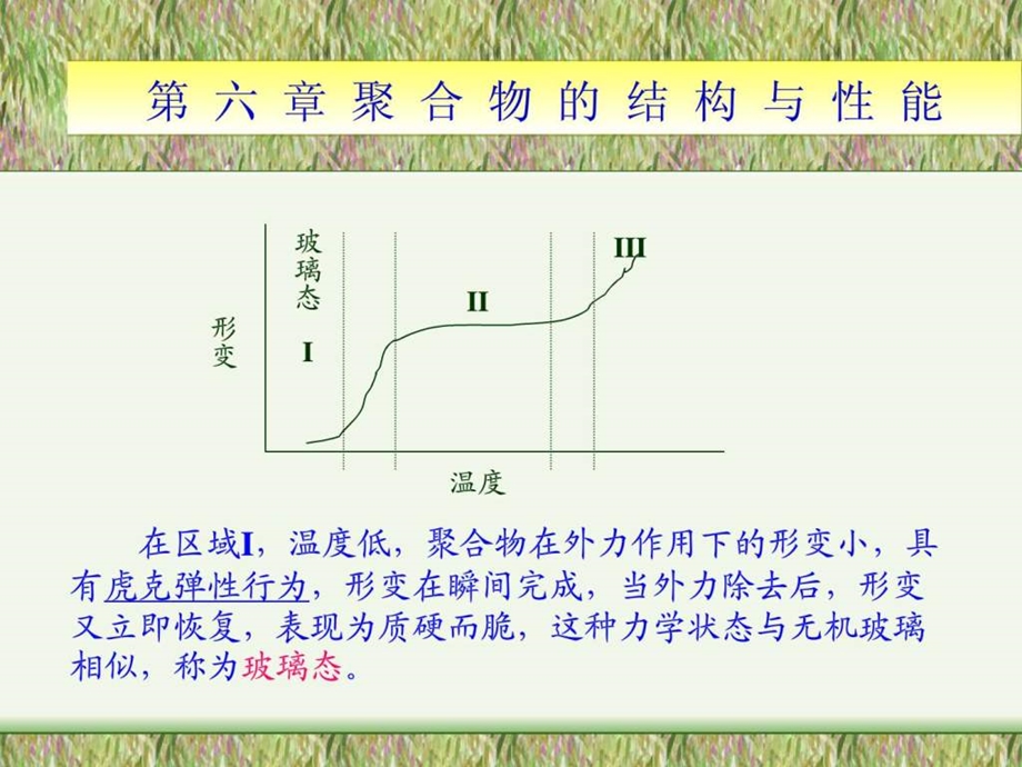 第六章聚合物的结构与性能.ppt_第2页