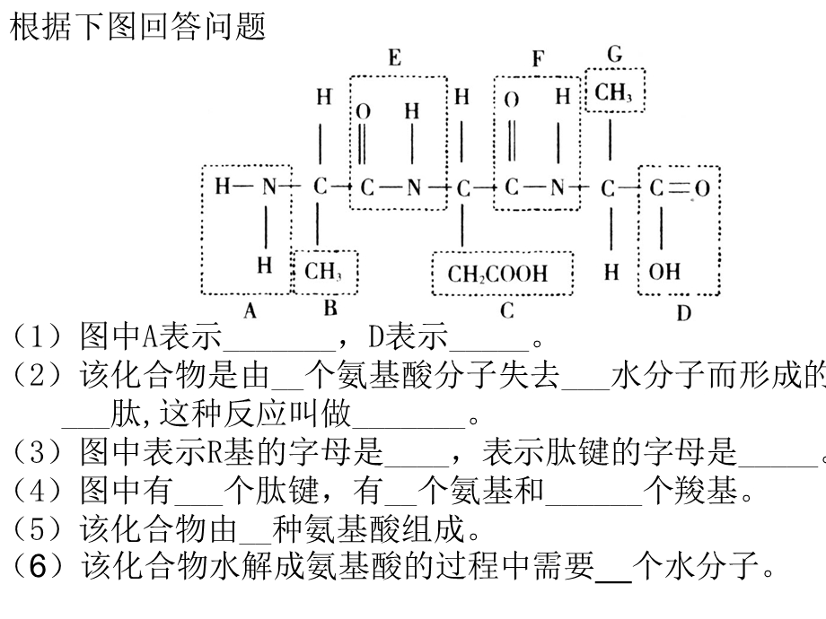 细胞的基本结构.ppt_第2页