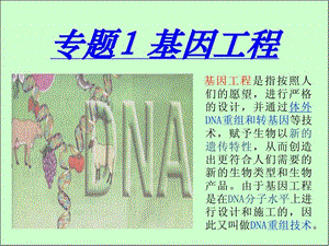 DNA重组技术的基本工具动画很经典.ppt