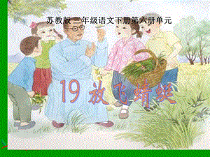 课件《19放飞蜻蜓》.ppt