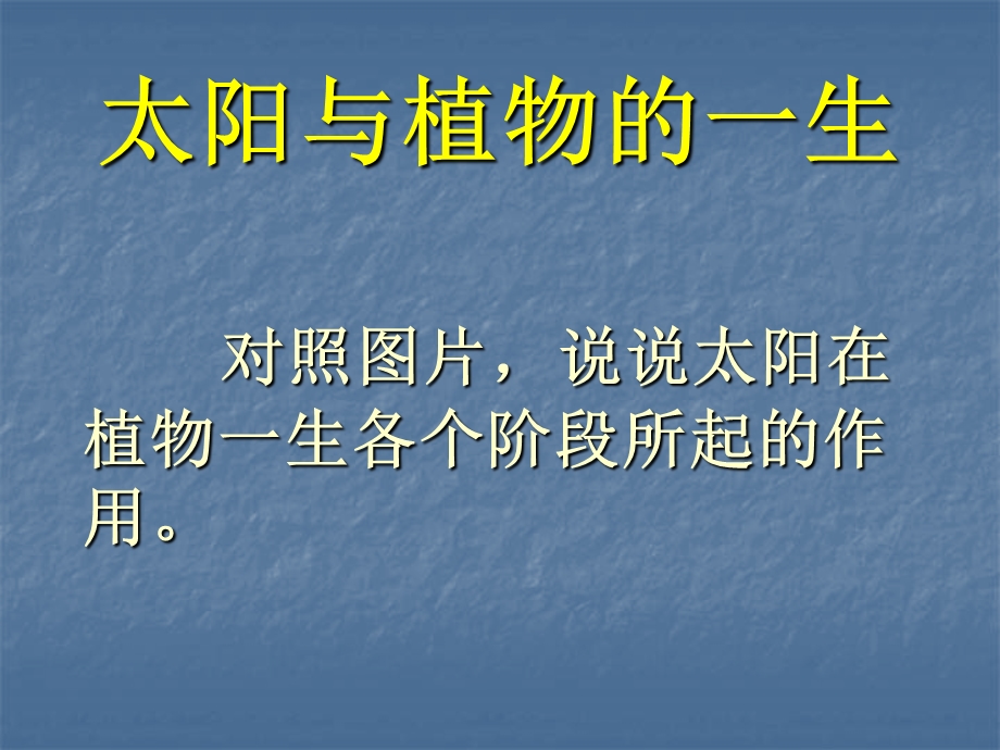 （鄂教版）六年级科学下册课件太阳与动植物1.ppt_第3页