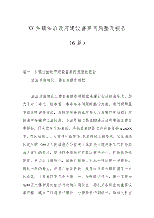 （6篇）XX乡镇法治政府建设督察问题整改报告.docx