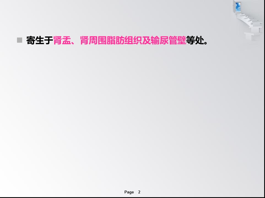 13猪冠尾线虫病.ppt_第2页