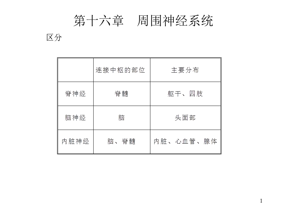 人体解剖学脊神经.ppt_第1页