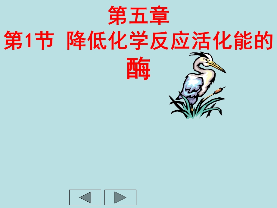 高一生物降低化学反应活化能的酶.ppt_第1页