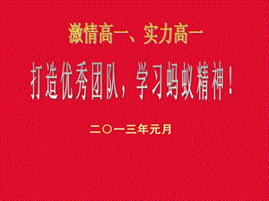 打造优秀团队学习蚂蚁精神.ppt