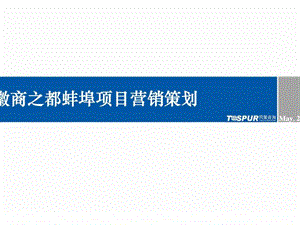 安徽商之都蚌埠项目营销策划.ppt