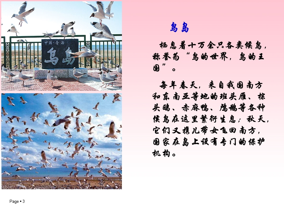 青海湖_梦幻般的湖课件.ppt_第3页