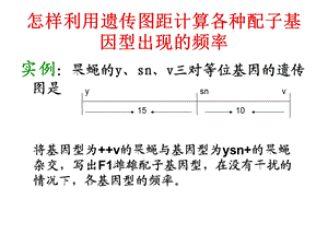 第六章真菌类染色体作图教案1.ppt