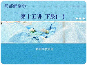 麻醉解剖学.ppt