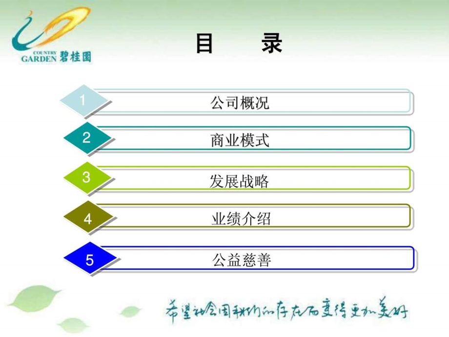 房地产碧桂园.ppt.ppt_第2页