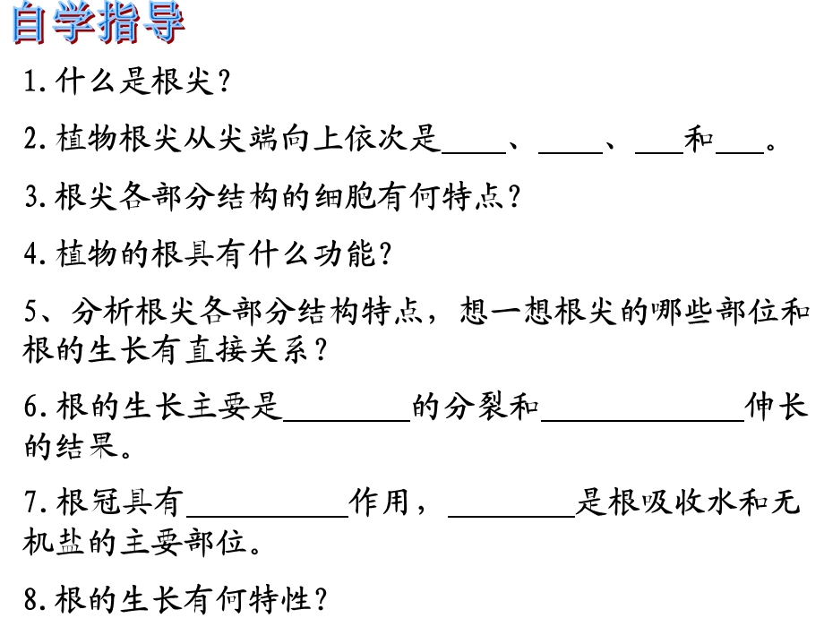 第二节根的生长精品教育.ppt_第2页