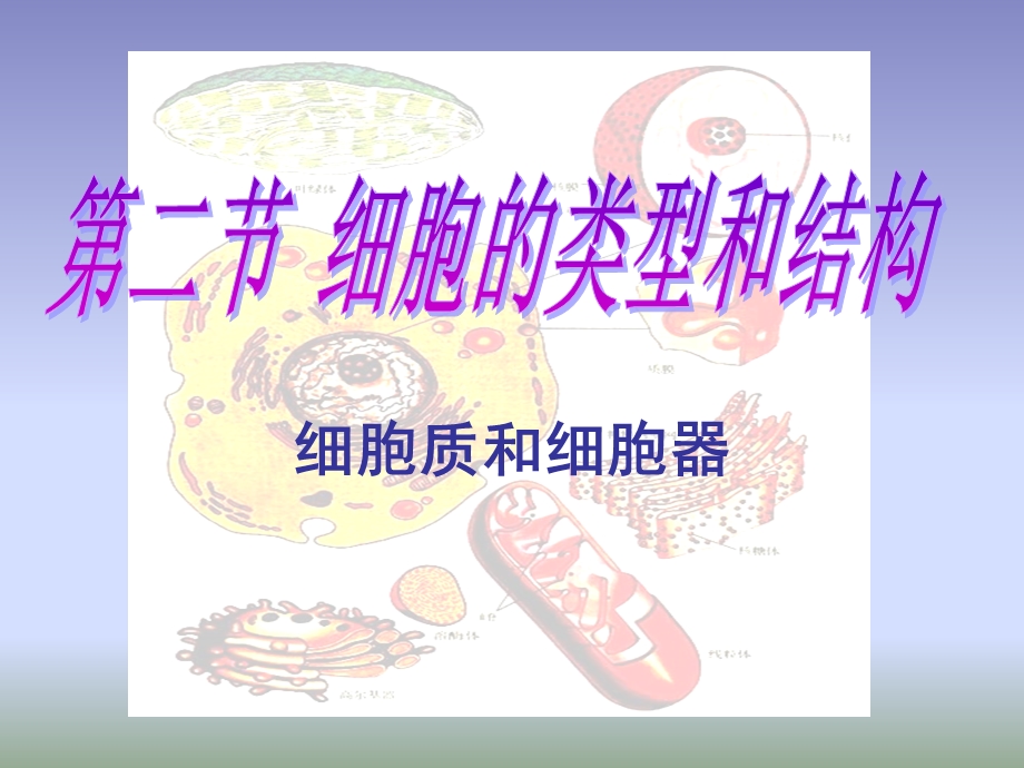 322细胞zhi和细胞qi.ppt_第1页