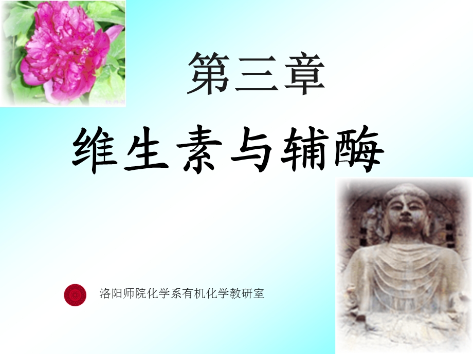 第五节维生素与辅酶.ppt_第1页