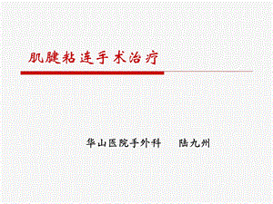 肌腱粘连松解.ppt