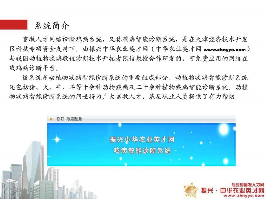 畜牧人才网络诊断鸡病系统的实际应用.ppt.ppt_第2页