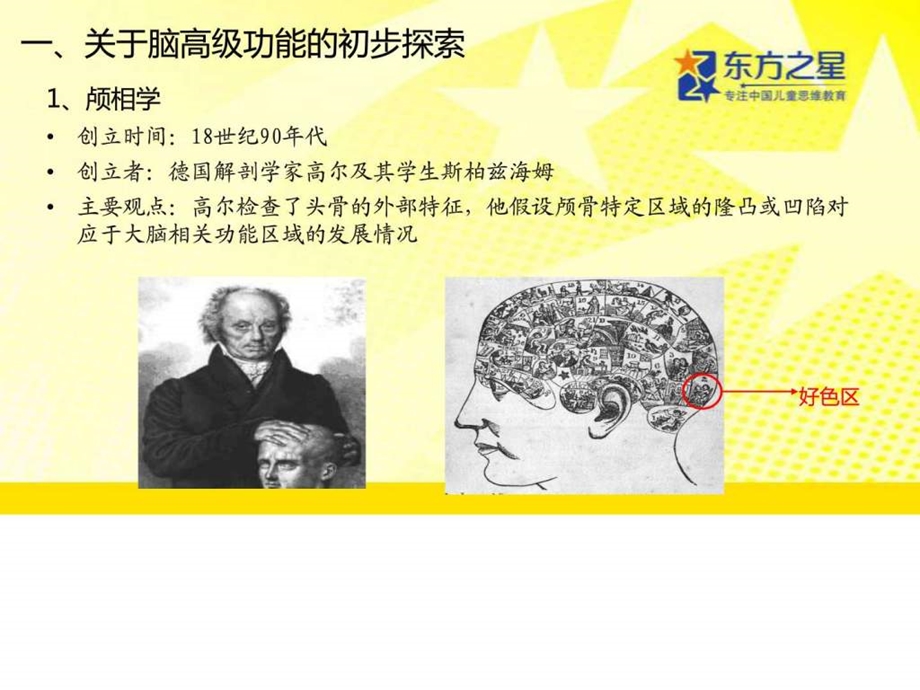 脑科学与学前教育0715杨文泽.ppt.ppt_第3页