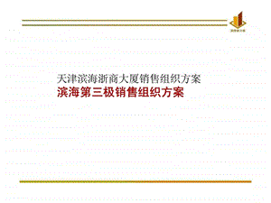 天津滨海浙商大厦销售组织方案滨海第三极销售组织方案.ppt