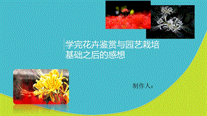 花卉鉴赏与园艺栽培.ppt