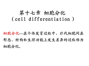 第十七章细胞分化celldifferentiation.ppt