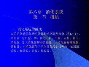 组织学与解剖学消化系统.ppt