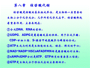 dd核苷酸代谢.ppt