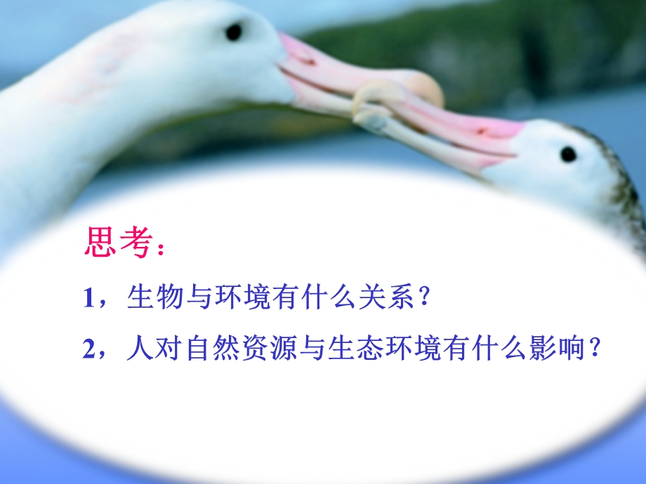 第四部分环境保护教学课件.ppt_第2页