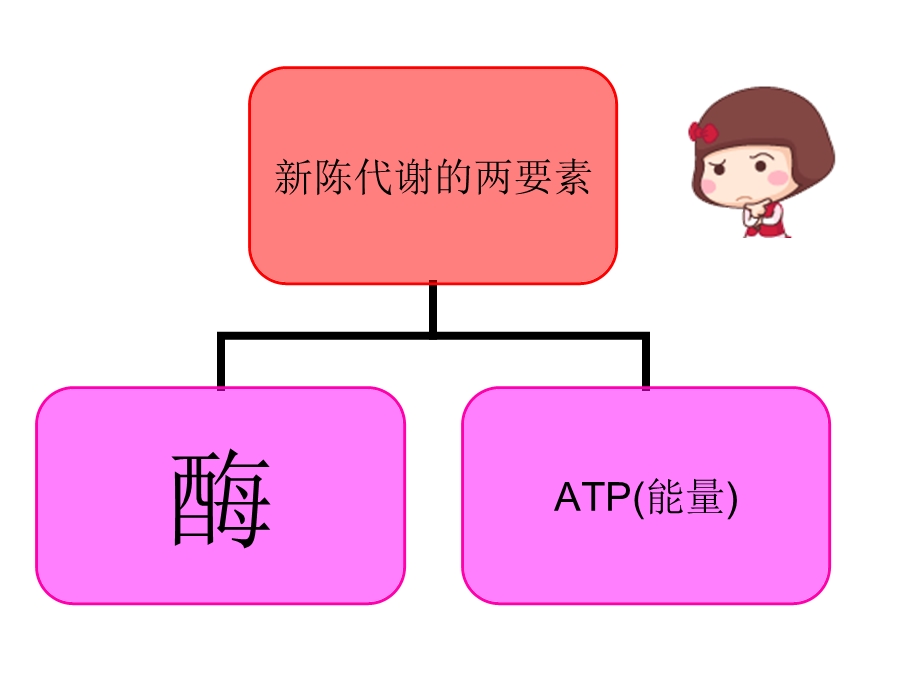 新陈代谢1光合作用知识点结集.ppt_第2页