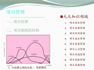 项目管理项目经理职责和组织结构.ppt