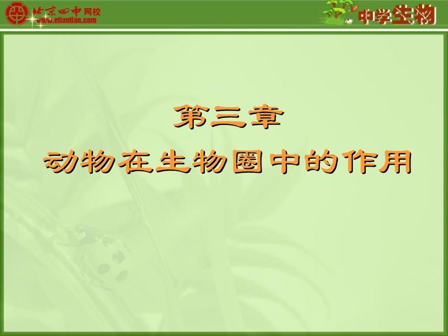 第一节动物在自然界中的作用婵.ppt_第1页