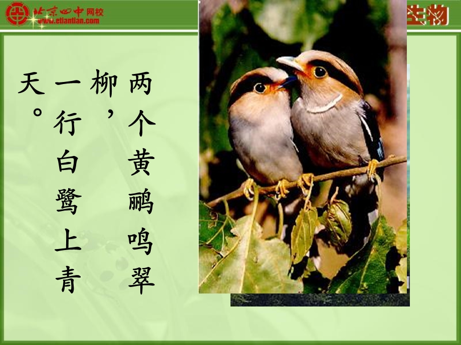 第一节动物在自然界中的作用婵.ppt_第2页