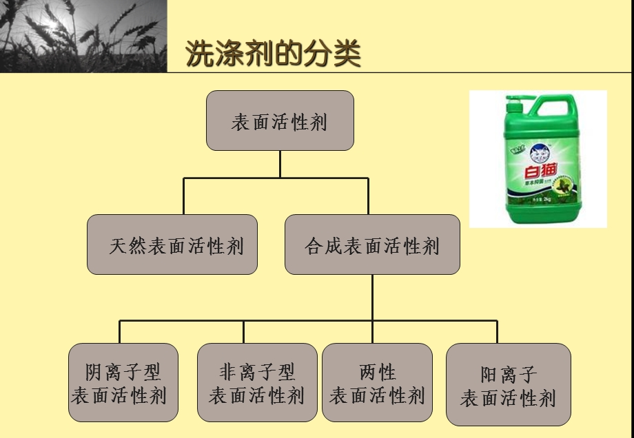 洗涤剂原料的认识.ppt_第3页