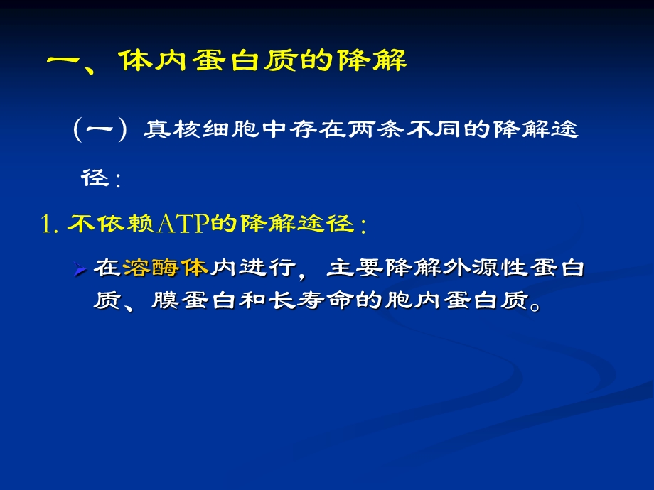 第九章氨基酸代谢.ppt_第3页