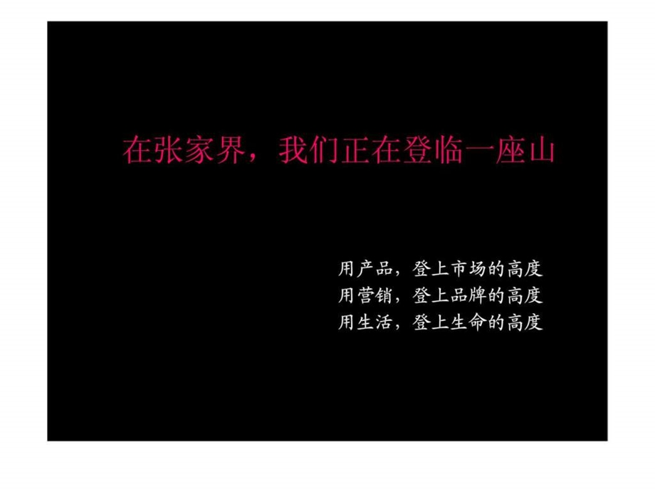 张家界溪布街项目整合推广策略初案.ppt_第2页