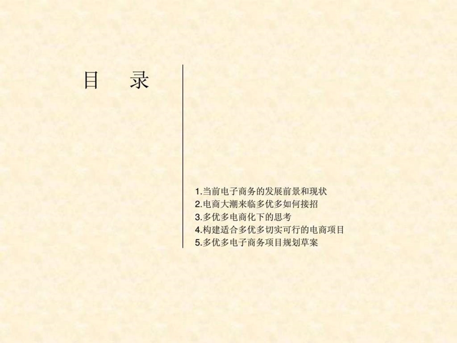 多优多电商运营规划.ppt.ppt_第2页