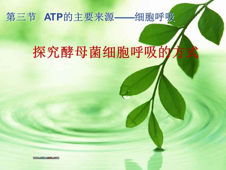 探究酵母菌细胞呼吸的方式qu.ppt_第1页