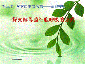 探究酵母菌细胞呼吸的方式qu.ppt