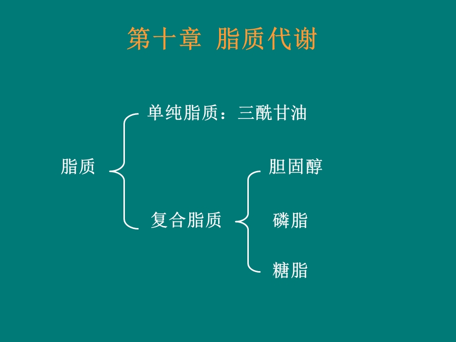 第10章脂质代谢.ppt_第2页