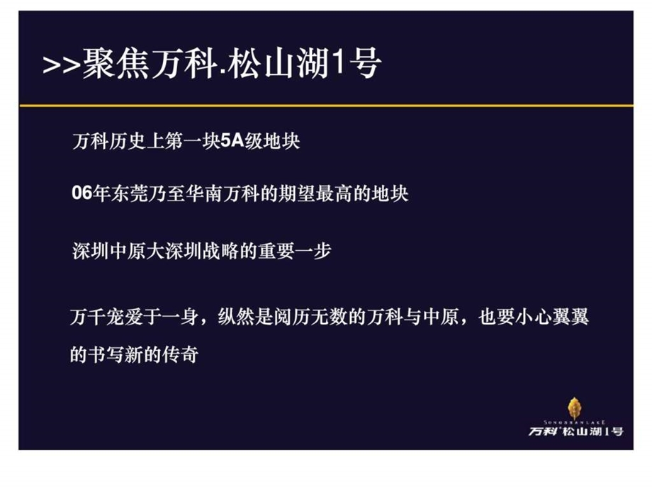 策划项目报告松山湖.ppt_第2页