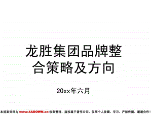 龙胜集团品牌整合策略及方向.ppt