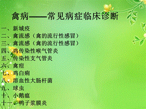 禽病鸡病常见临床病症诊断.ppt