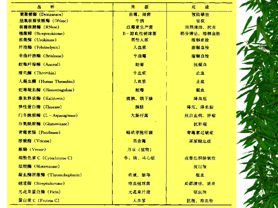 3酶类药物及其生产工艺.ppt_第3页