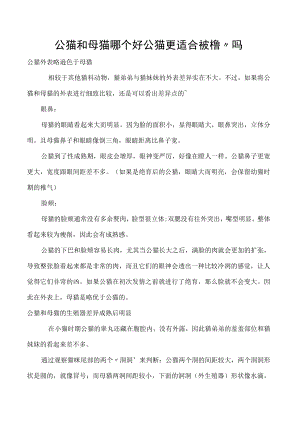 公猫和母猫哪个好 公猫更适合被撸”吗.docx