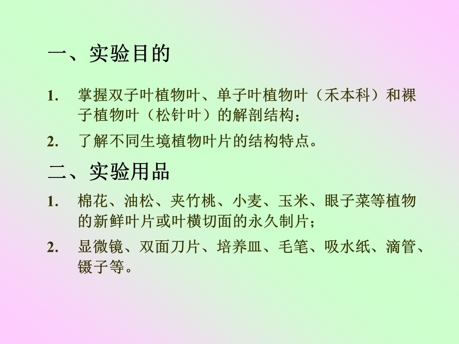 实验六叶的解剖结构.ppt_第2页