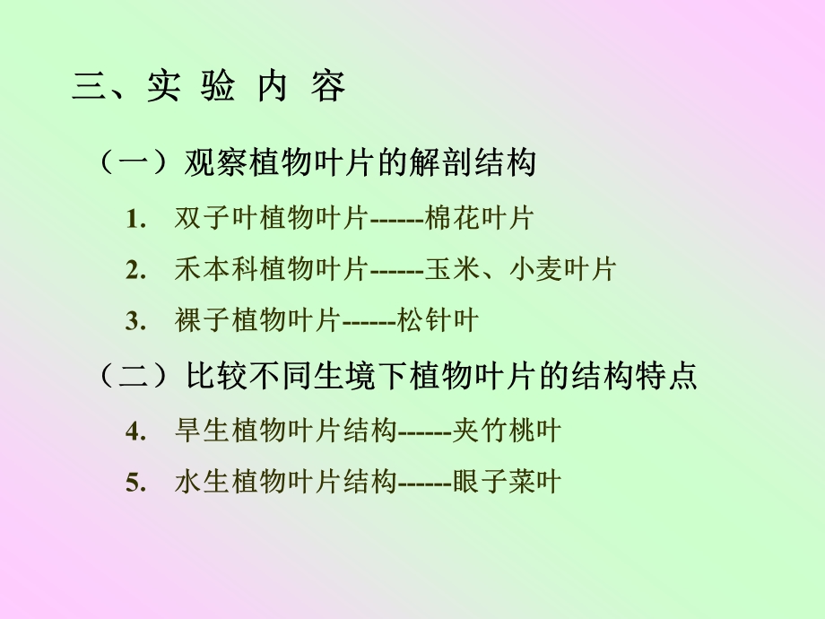 实验六叶的解剖结构.ppt_第3页