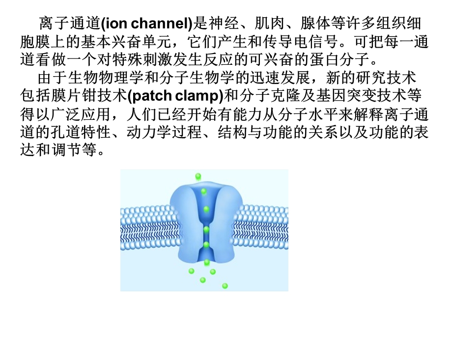 第二节离子通道.ppt_第3页