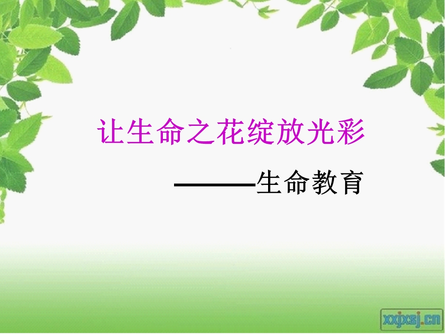 让生命之花绽放光彩.ppt_第1页