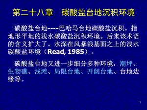 28碳酸盐台地沉积环境及29.海相深水碳酸盐.ppt