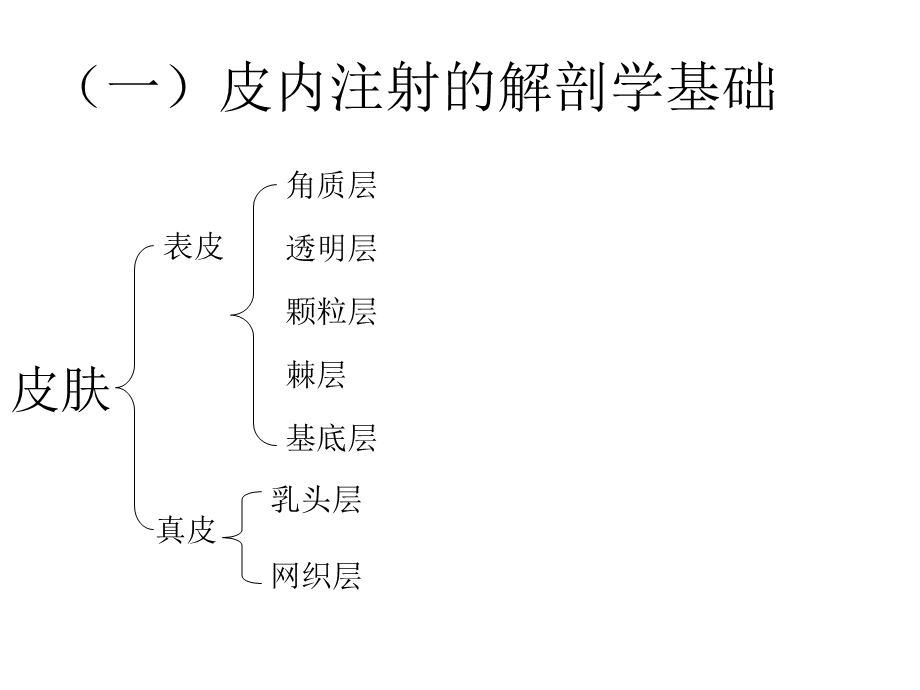 第三章各种注射技术应用解剖.ppt_第3页