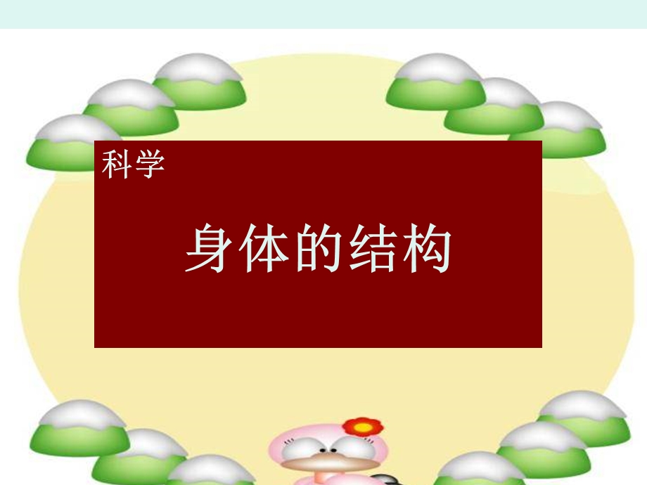 科学《身体的结构》.ppt_第1页